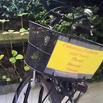 Cimarosa Harmony 3*