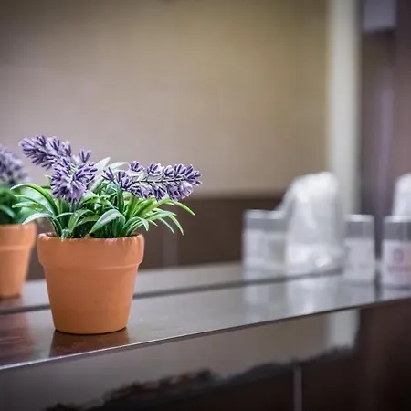 بيت ضيافة Cimarosa Harmony 3*